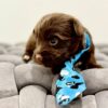 Hersey 4/22/25 Dark chocolate - Image 7